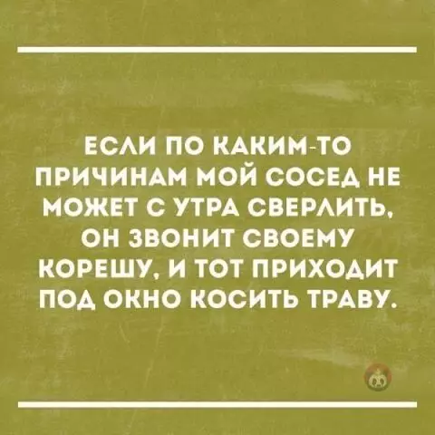 Картинка №3151 В каждом районе такой есть ? соседи