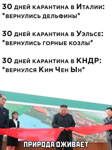 Картинка №3523