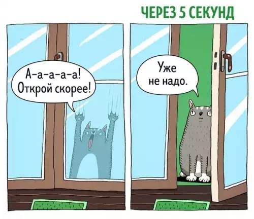 Картинка №39894 Коты – ужасно противоречивые существа... кошки