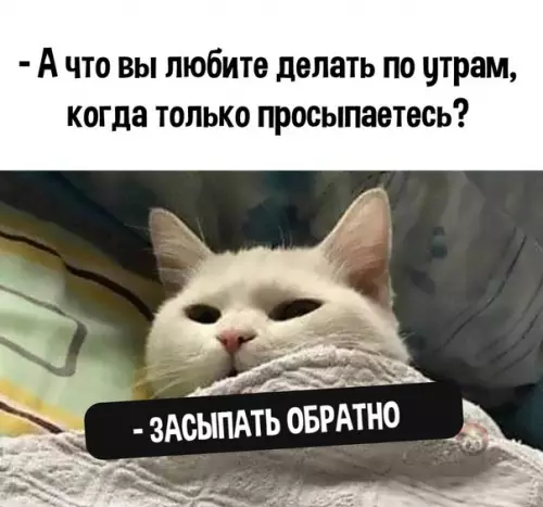 Картинка №10978 Ни с чем не сравнится это ощущение ☺️