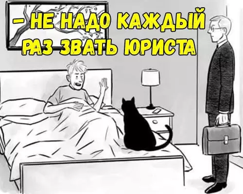 Продолжение Картинка №51894 Коты