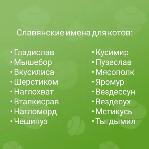 Картинка №59994 Коты 