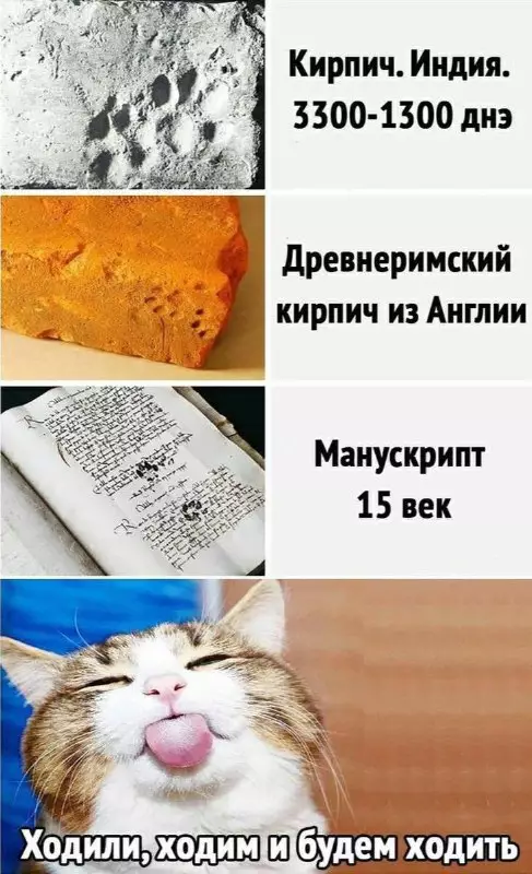 Картинка №65812 Коты 