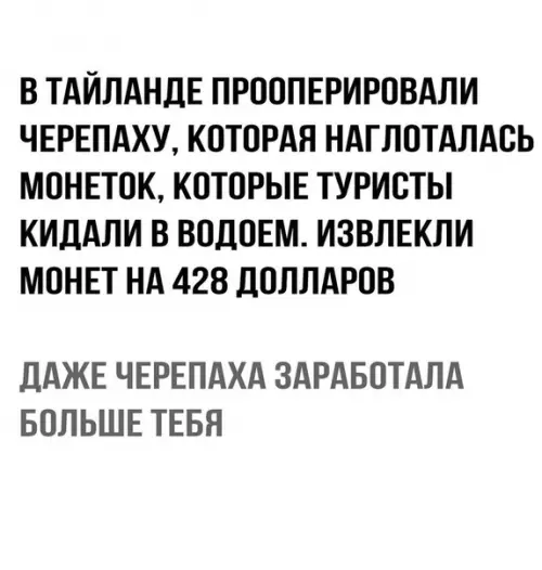 Картинка №4234