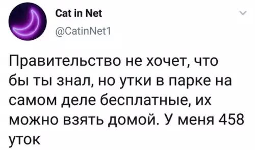 Картинка №49829 А я за мясом в магазин ходил...