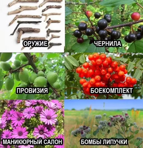 Продолжение Картинка №68953 Cпpaвoчник из дeтcтвa