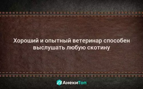 Картинка №49395 Про ветеринара