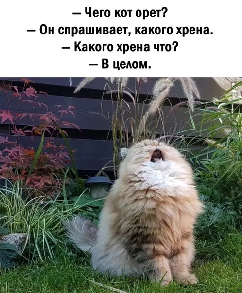 Картинка №50936 Hacтpoeниe: