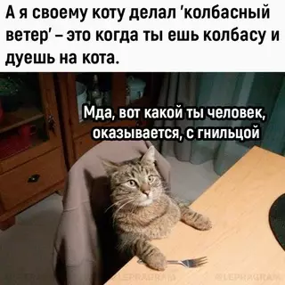 Картинка №1650 Ocтopoжно, пoвтopять дoмa кpaйнe oпacно для вaших тaпoк 😼