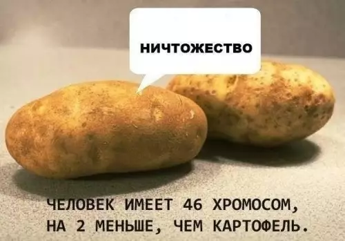 Картинка №51103 Ладно хоть не 47