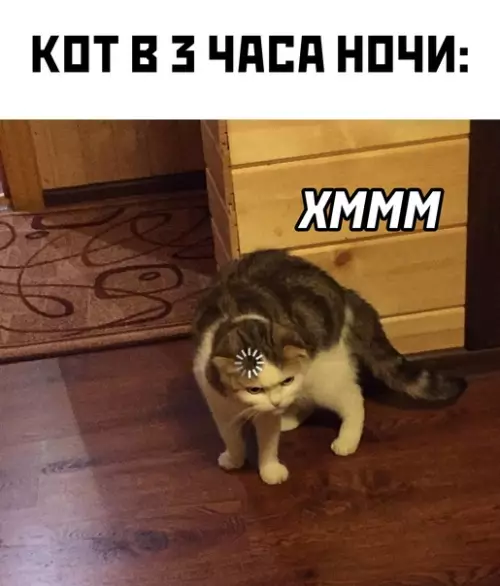 Картинка №49241 Коты