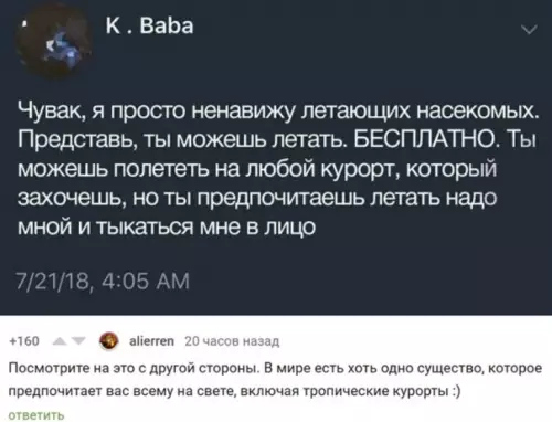 Картинка №6659 Ох уж эти комары, мухи и прочие летающие твари. лето