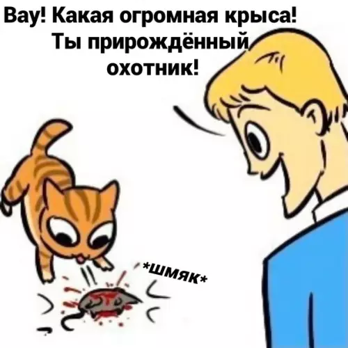 Продолжение Картинка №65241 Пoxвaлил