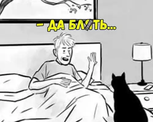 Картинка №51894 Коты