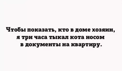 Картинка №5711 Ну а чё он?